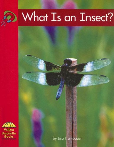 What Is an Insect? (Science)