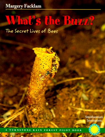 What's the Buzz?: The Secret Lives of Bees (Rain Forest Pilot)