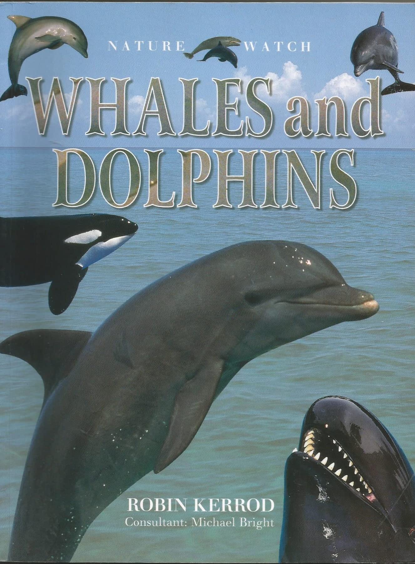 Whales and Dolphins