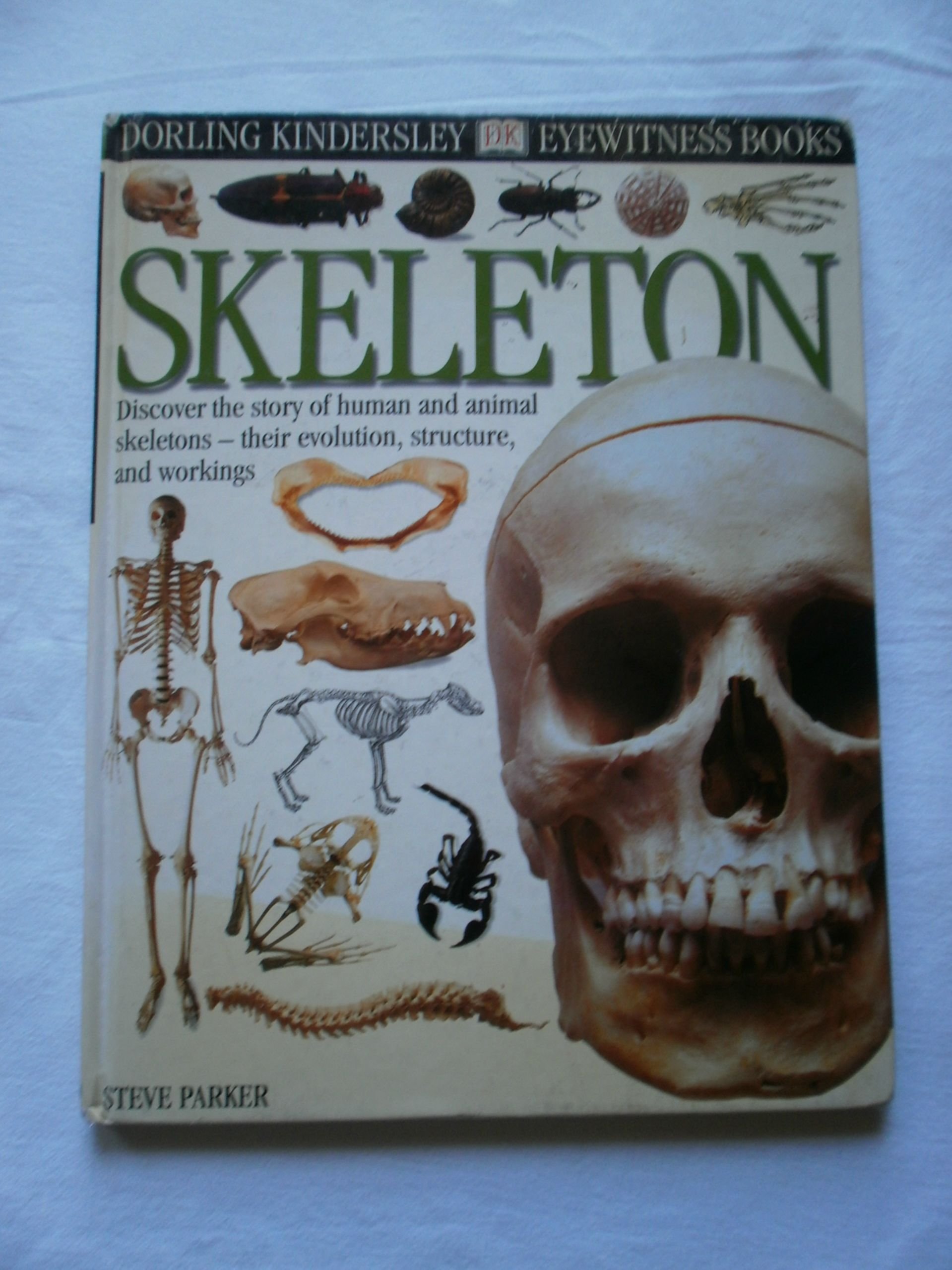 Eyewitness: Skeleton