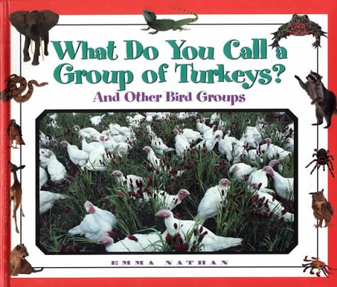 What Do You Call a Group Of - Turkeys? And Other Bird Groups