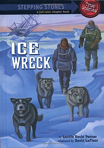 Ice Wreck (A Stepping Stone Book)