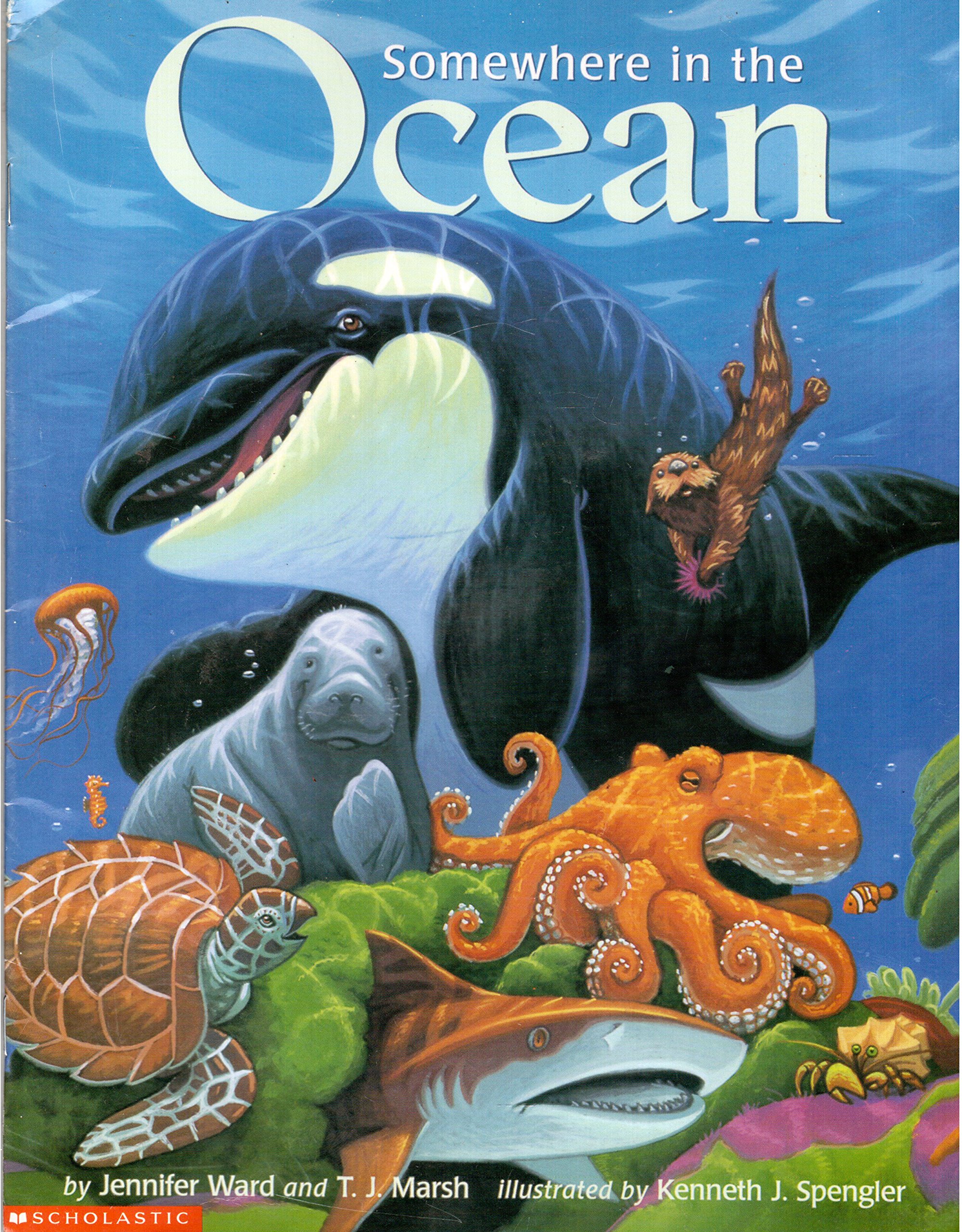 Somewhere in the Ocean