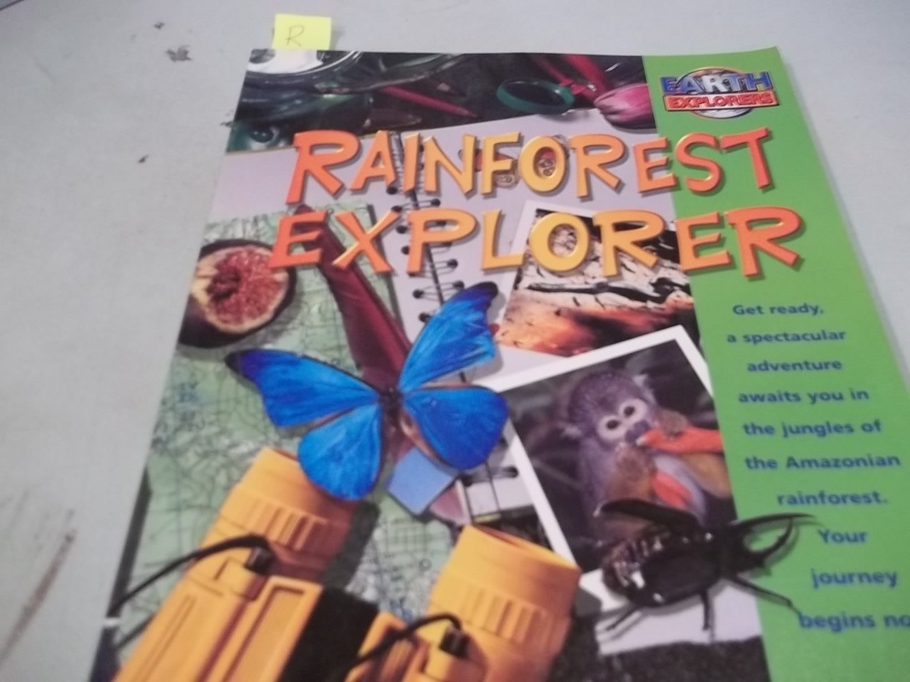 Rainforest Explorer