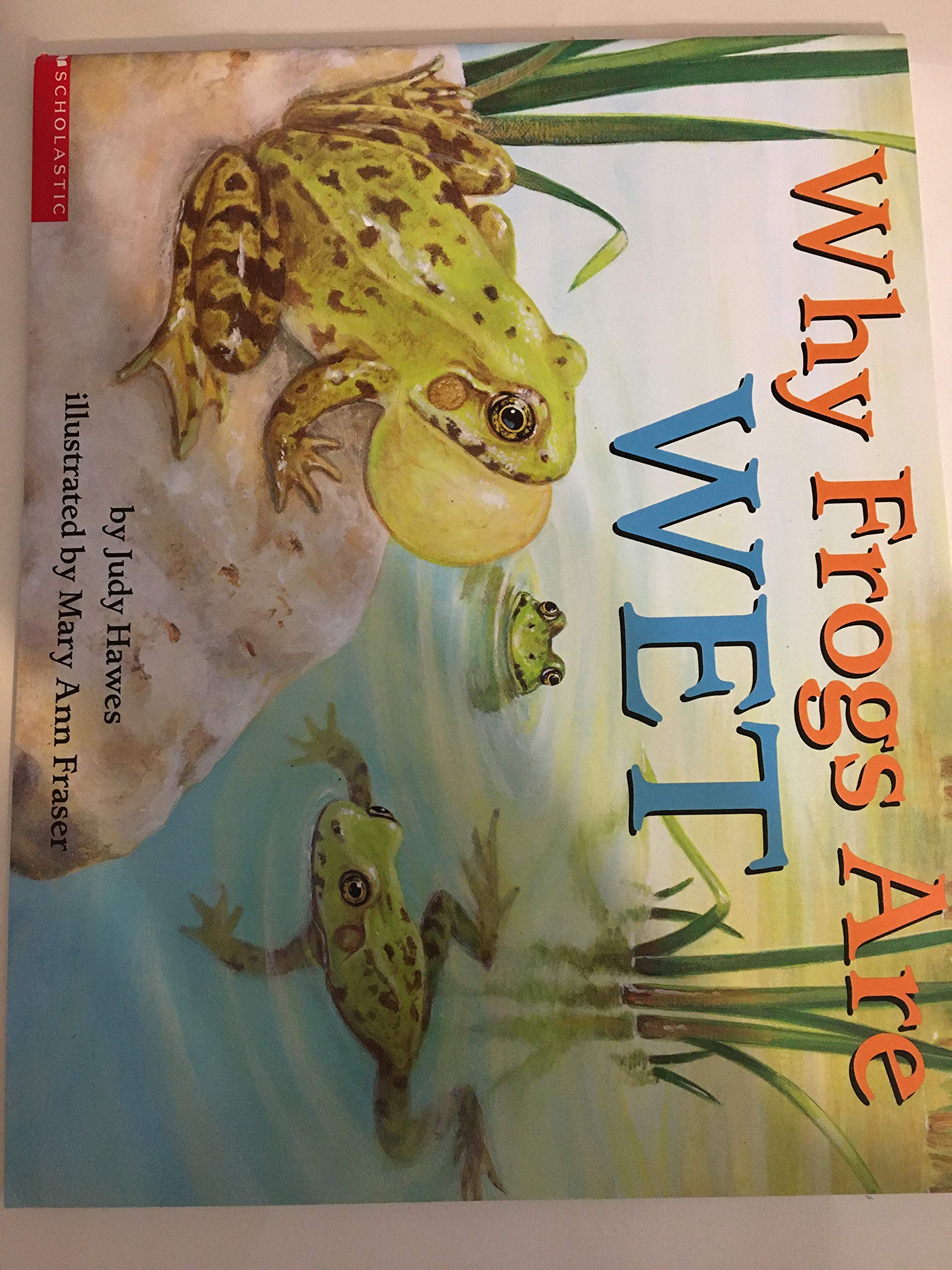 Why Frogs Are Wet