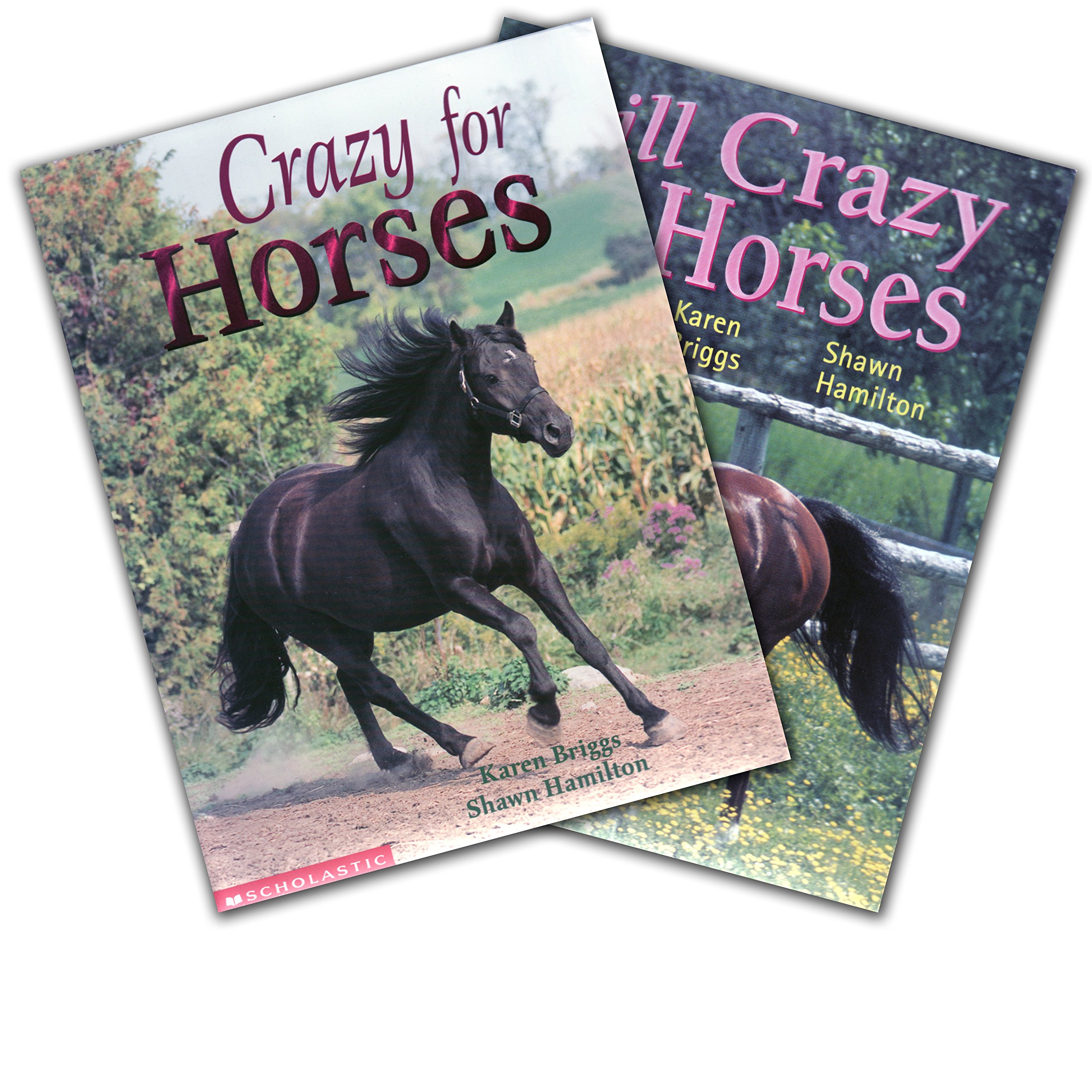 Still Crazy for Horses