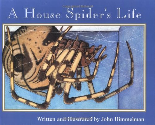 A House Spider's Life (Nature Upclose)