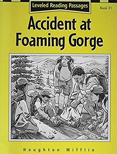 Houghton Mifflin Reading: The Nation's Choice: Accident At.. Lv Lv 06