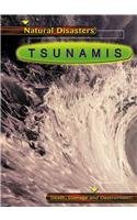Tsunamis (Natural Disasters)