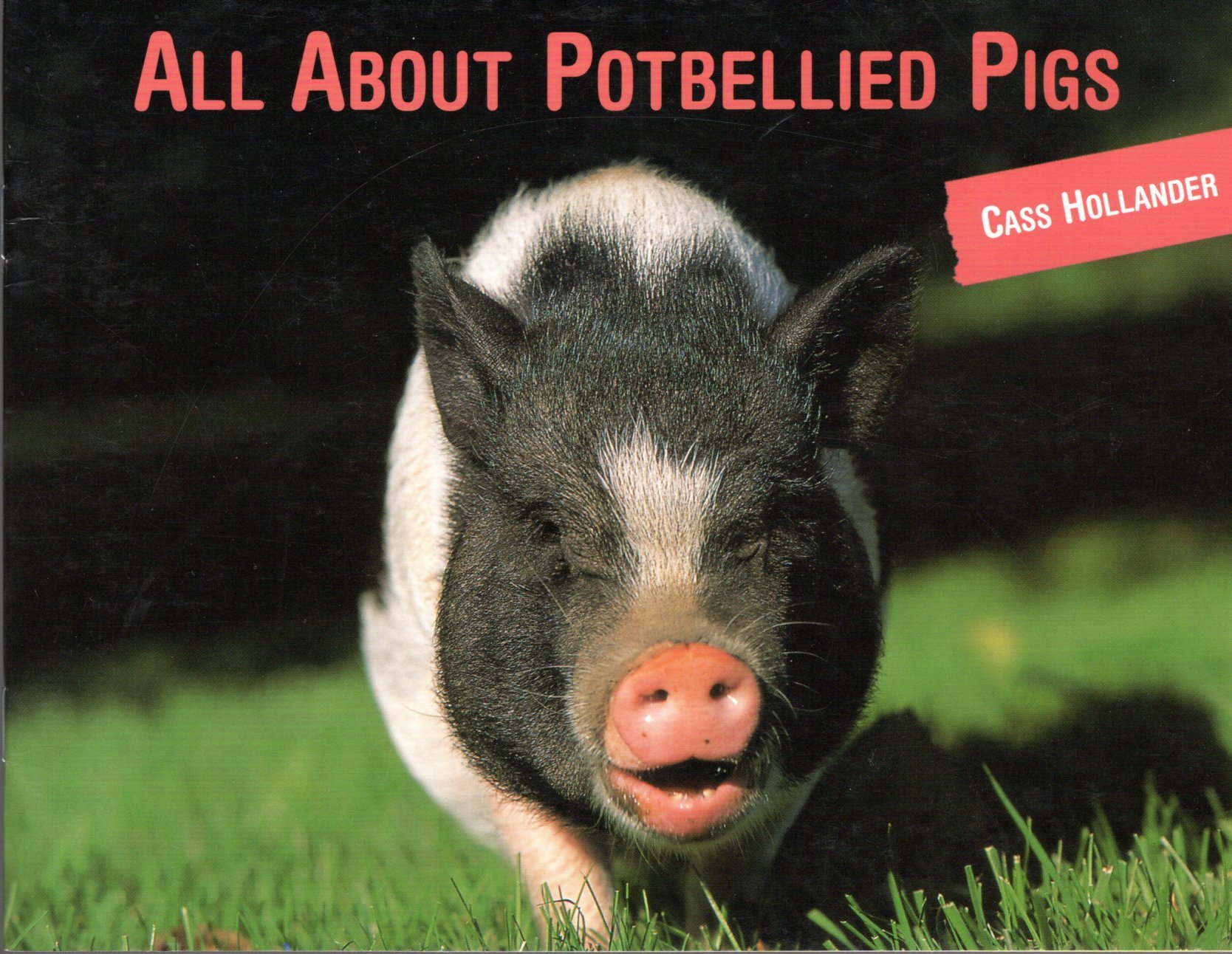 Rigby Literacy: Leveled Reader Grade 4 All About Potbellied Pigs