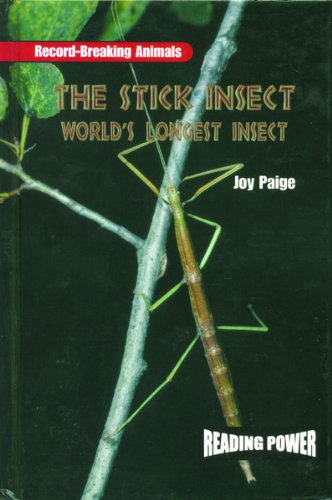 The Stick Insect: World's Longest Insect (Animal Record Breakers)