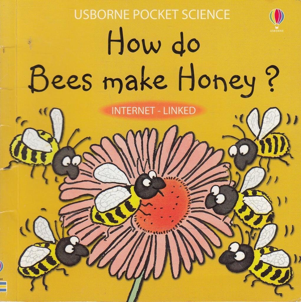 HOW DO BEES MAKE HONEY? USBORNE POCKET SCIENCE