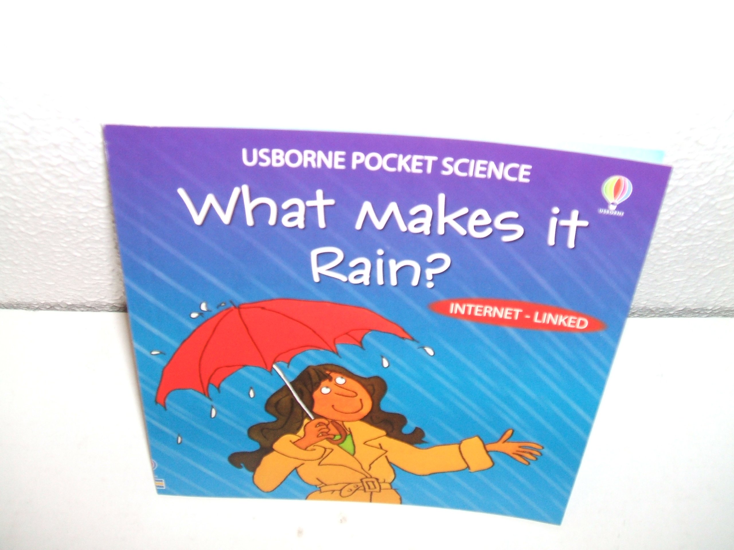 What Makes It Rain? Usborne Pocket Science