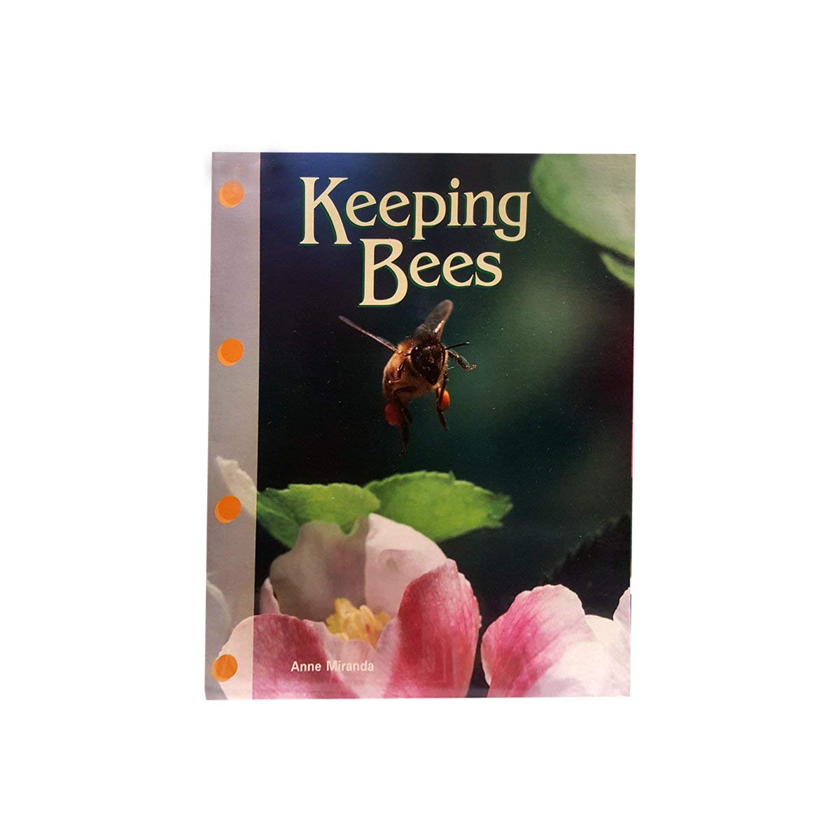 Keeping bees (Newbridge discovery links)