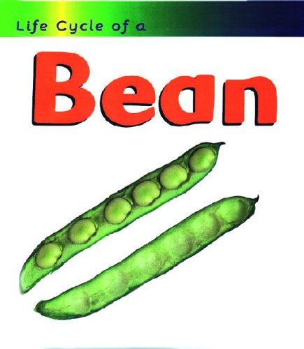 Bean (Life Cycle of a . . .)