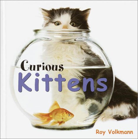 Curious Kittens