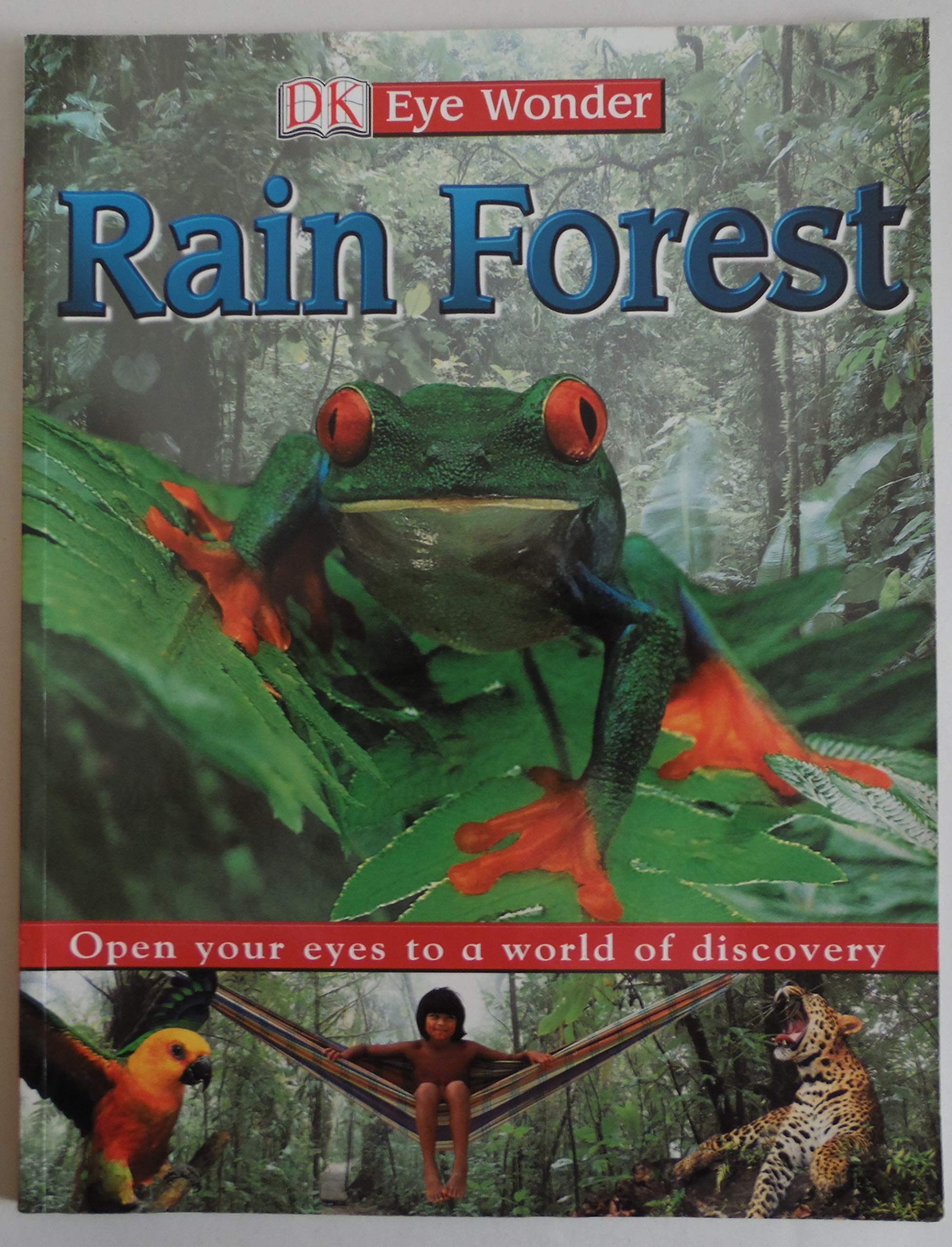 Rain Forest