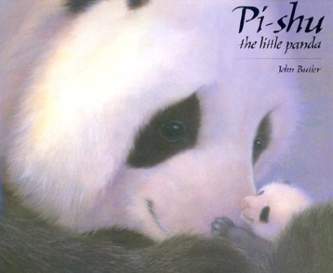 Pi-shu the Little Panda: The Little Panda