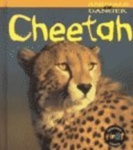 Cheetah (Animals In Danger)