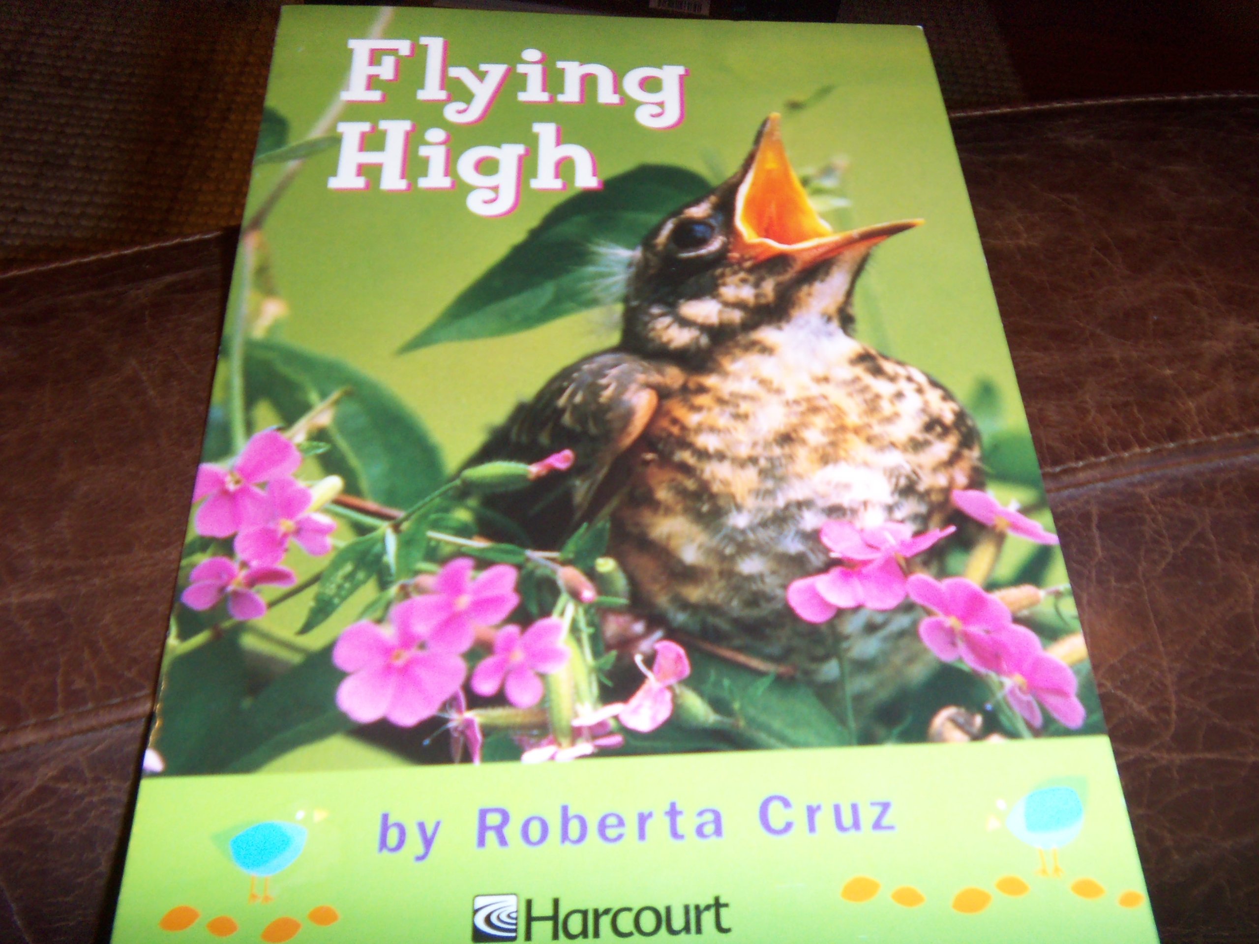 Flying High (Trophies)