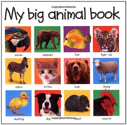 My Big Animal Book (My Big Board Books)