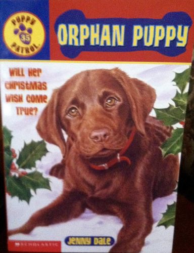 Orphan Puppy (Puppy Patrol, No. 35)