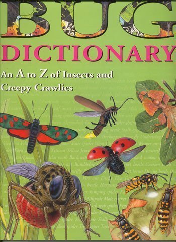 Bug Dictionary An A to Z of Insects and Creepy Crawlies