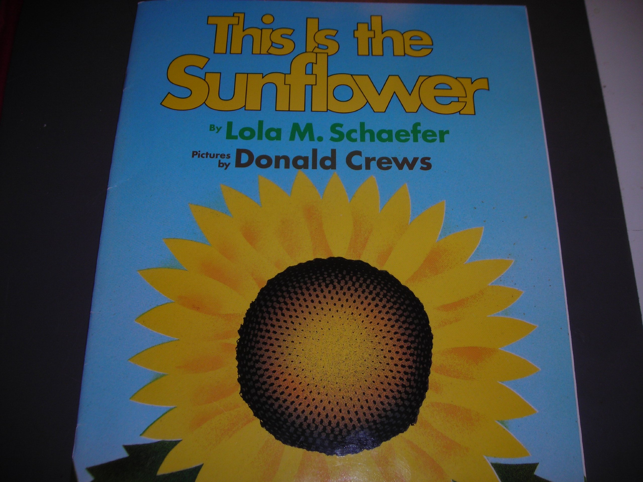 This is the sunflower