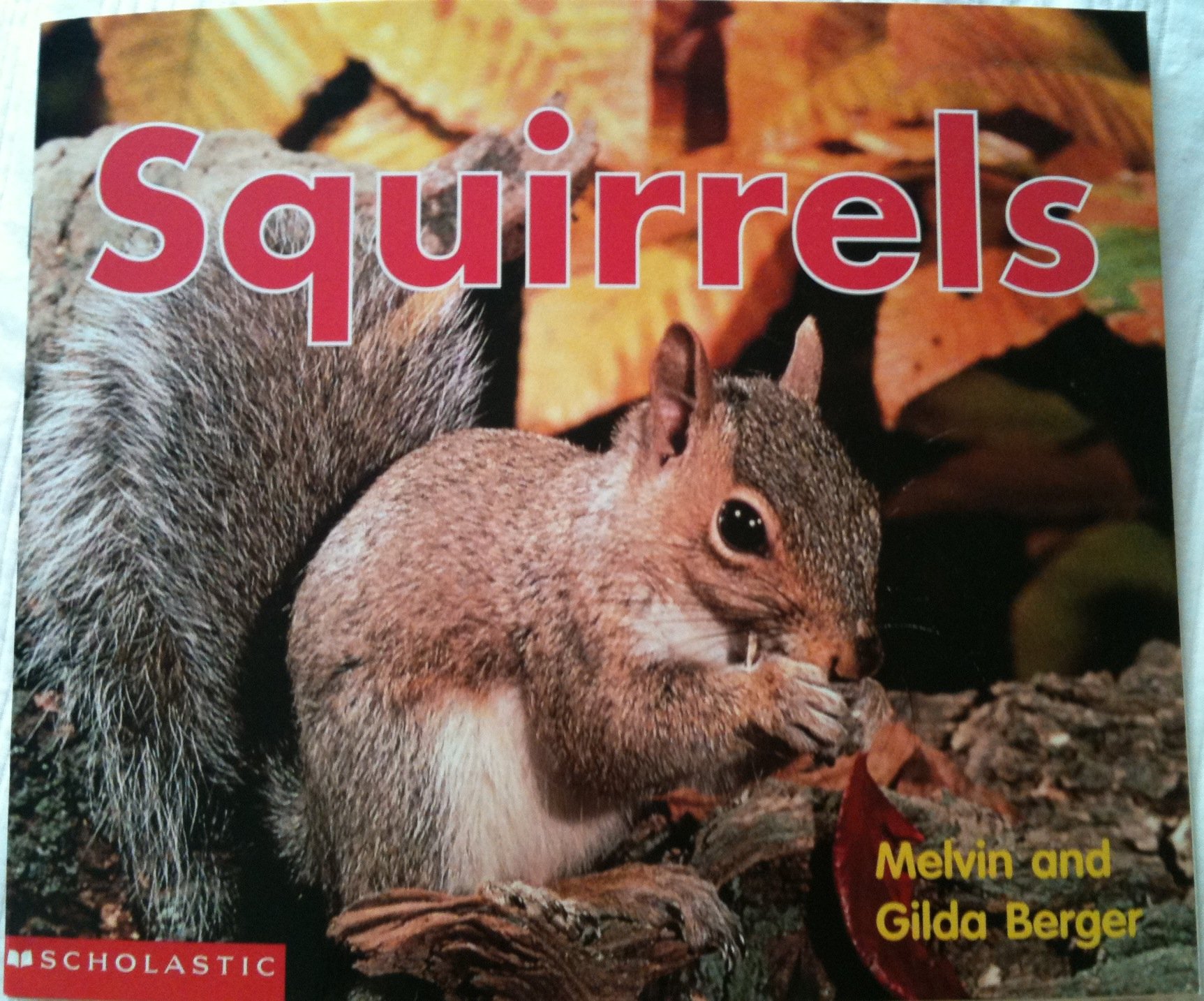 Squirrels (Scholastic time-to-discover readers)