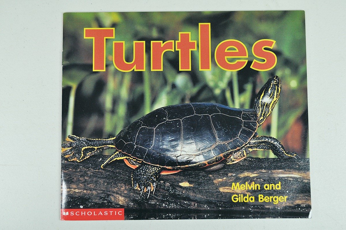 Turtles (Scholastic time-to-discover readers)