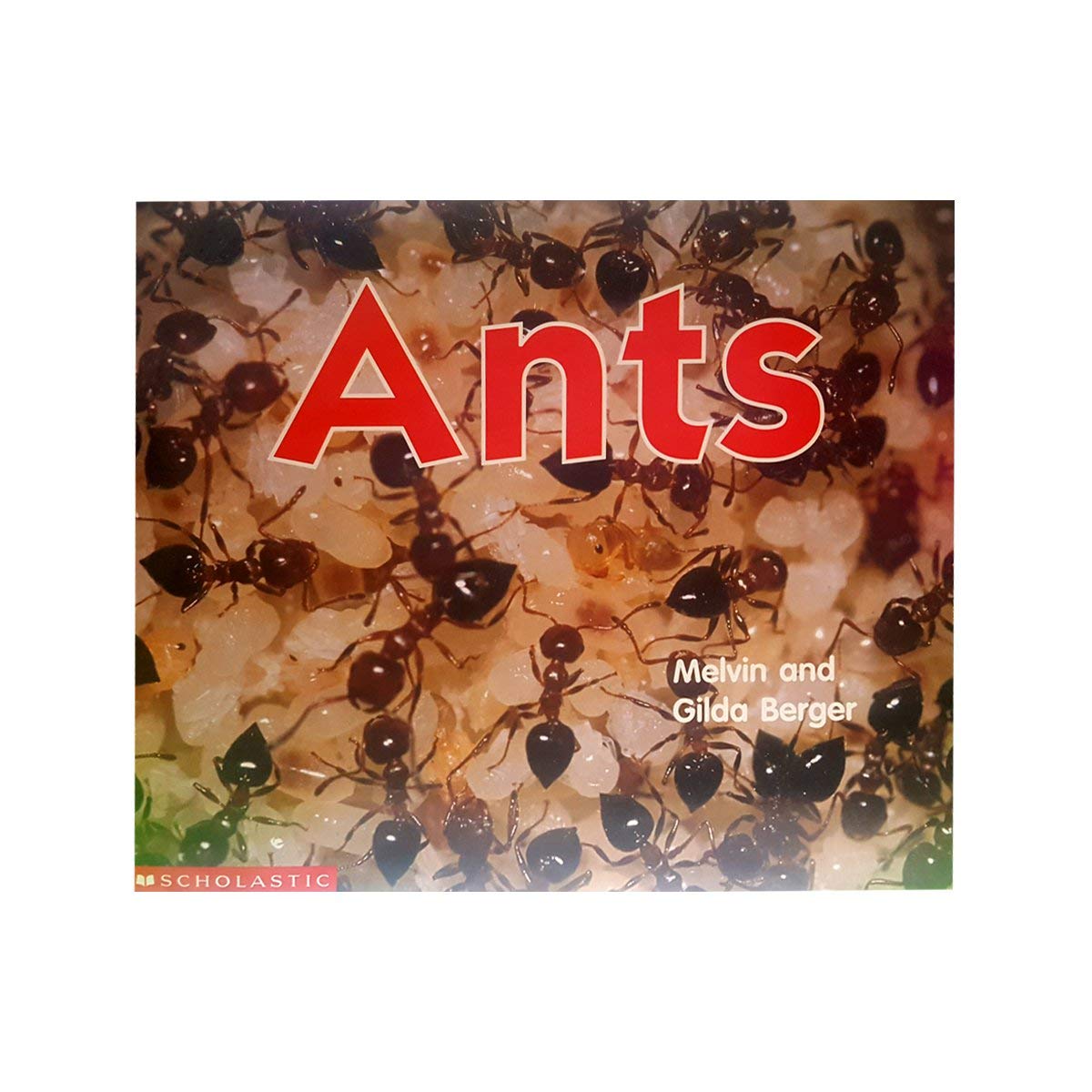 Ants (Scholastic Time-to-Discover Readers)