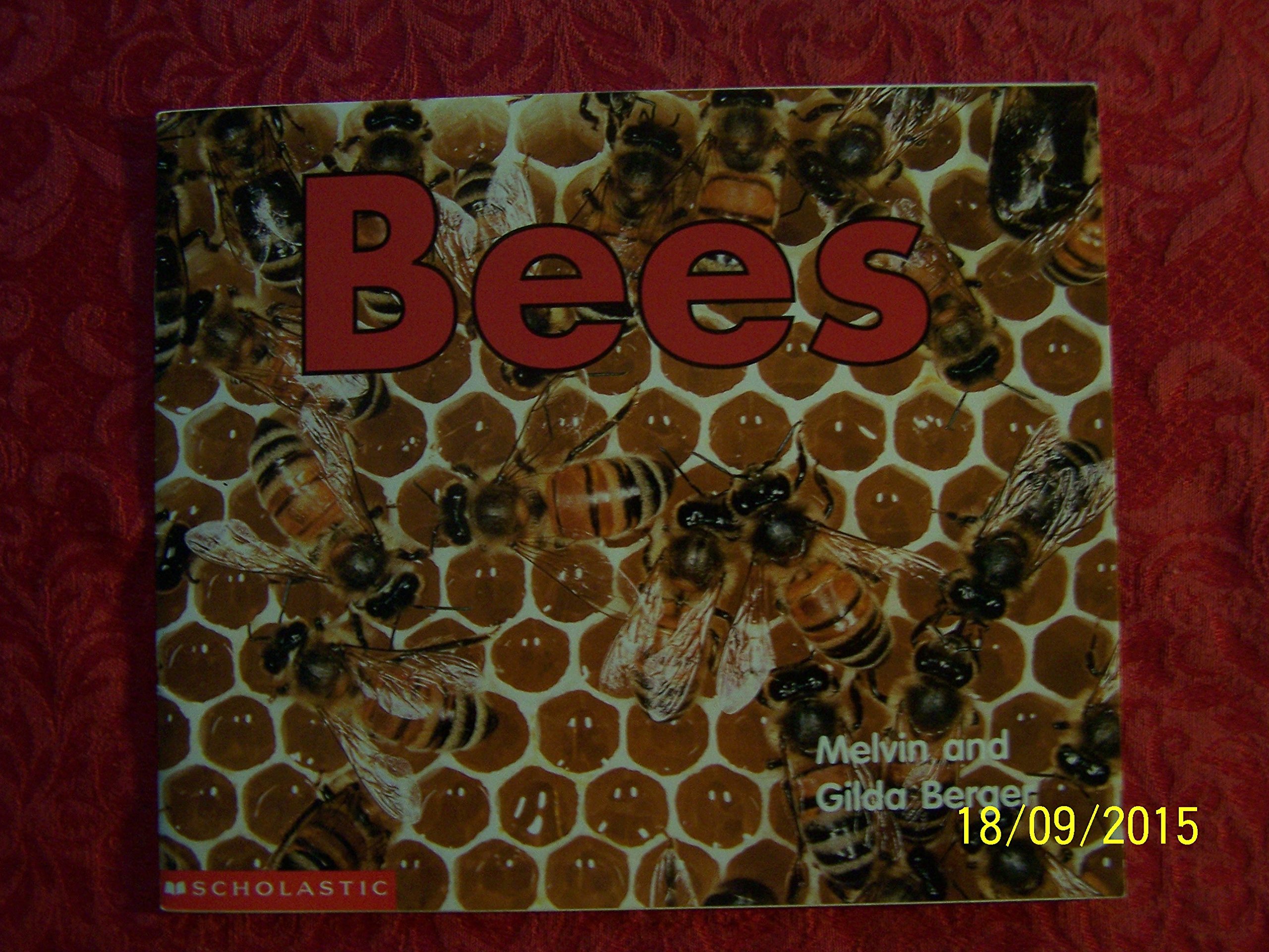 Bees (Time-to-Discover)