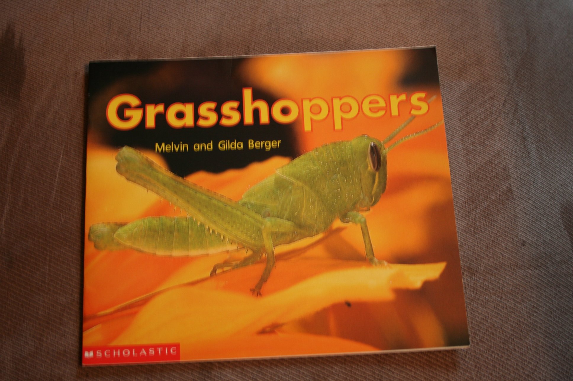 Grasshopper (Time-to-Discover)