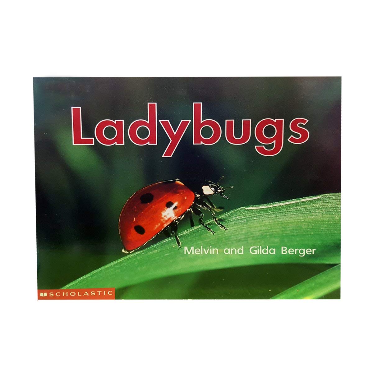 Ladybugs (Scholastic Time-to-Discover Readers)