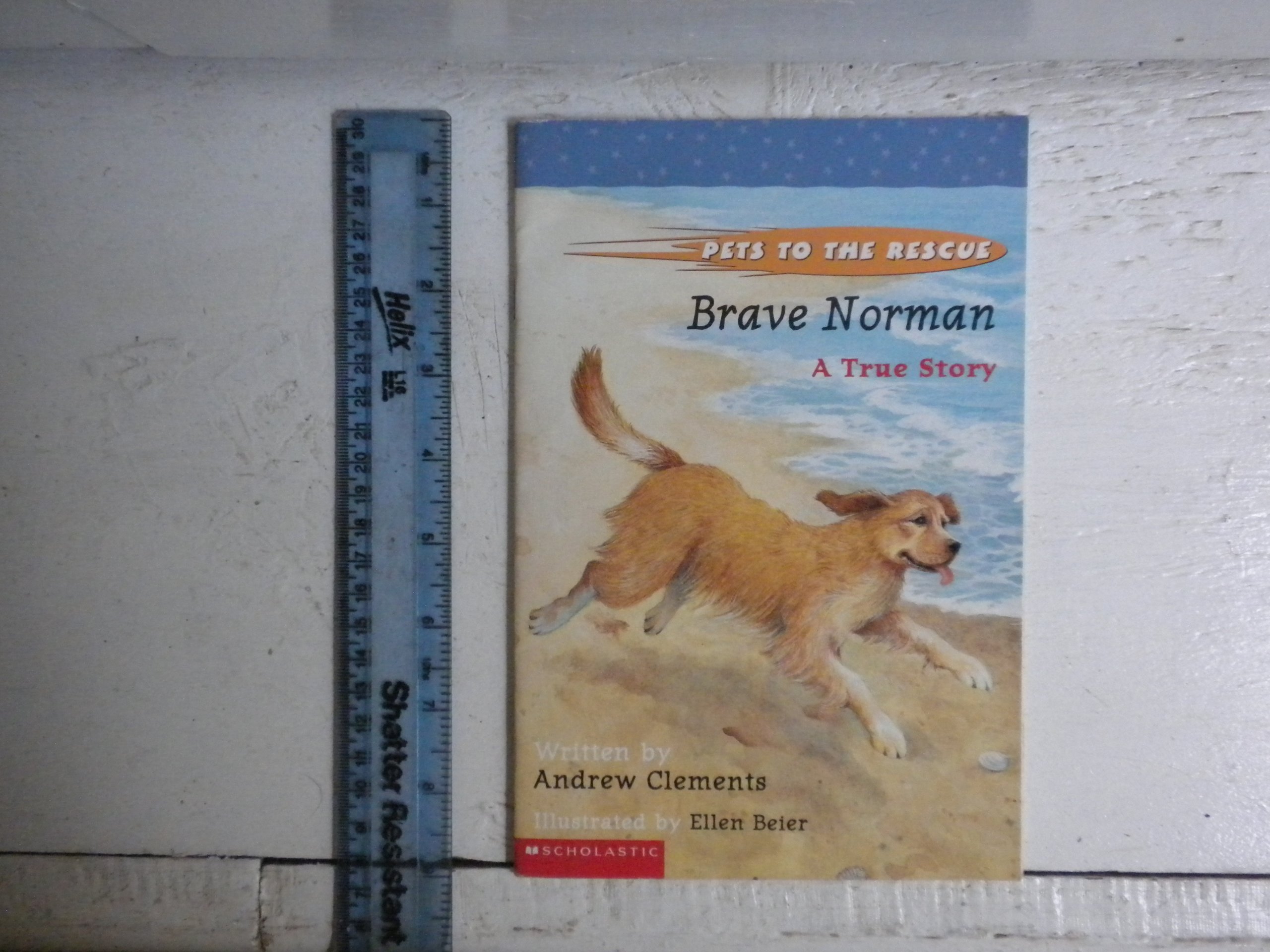 Brave Norman (Pets To The Rescue)