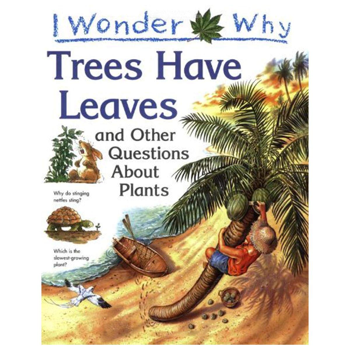 I wonder why trees have leaves, and other questions about plants