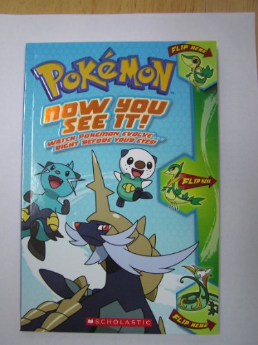 Pokemon Now You See It