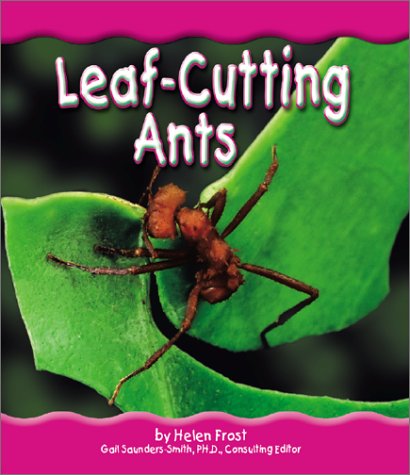 Leaf-Cutting Ants (Rain Forest Animals)