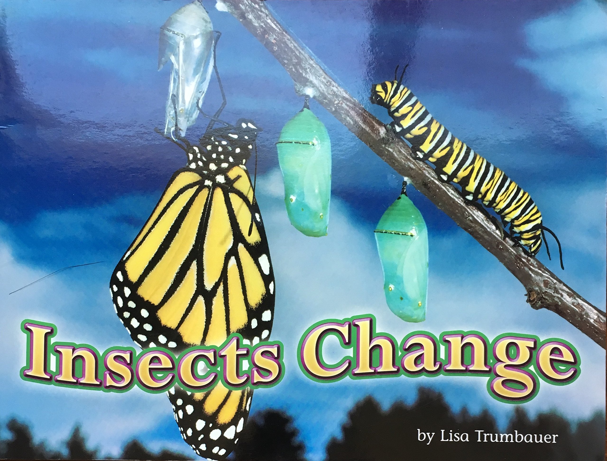 Steck-Vaughn Shutterbug Books: Leveled Reader Grades K - 1 Insects Change, Science (Steck-vaughn Shutterbug Books Leveled Reader: Science)