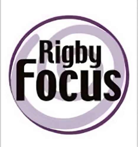 Rigby Focus Early Fluency: Leveled Reader Working With Metal