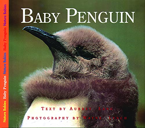 Baby Penguin (Nature Babies)