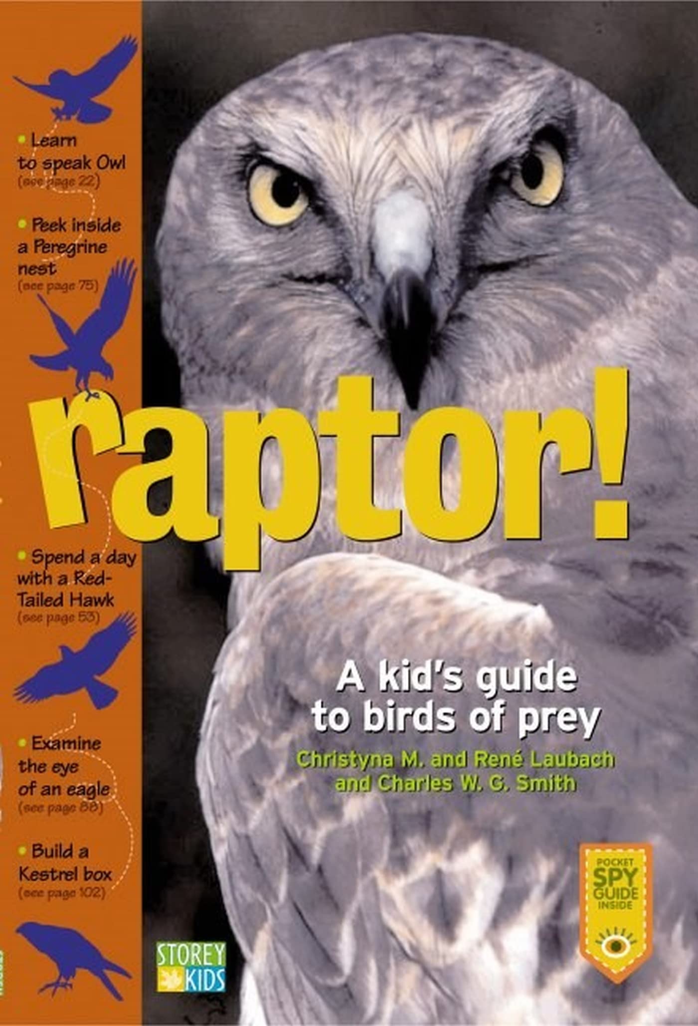 Raptor! A Kid's Guide to Birds of Prey