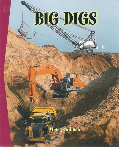 Big Digs (Newbridge Discovery Links, Nonfiction Guided Reading, Set B)