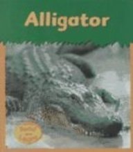 Alligator (Zoo Animals)