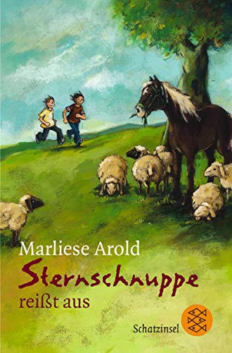 Sternschnuppe reißt aus. ( Ab 8 J.).