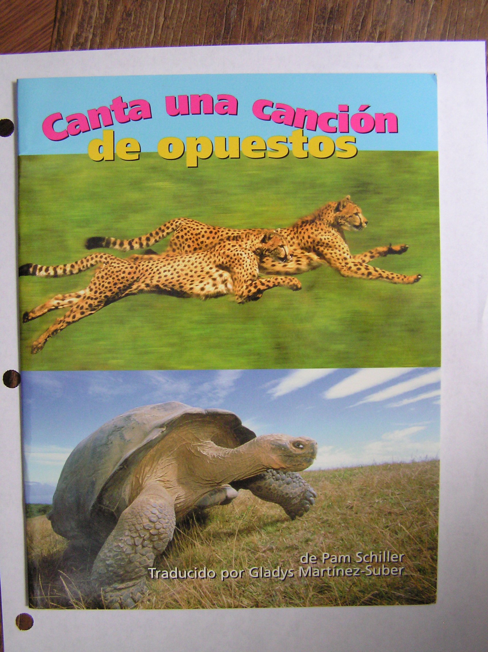 canta una cancion de opuestos