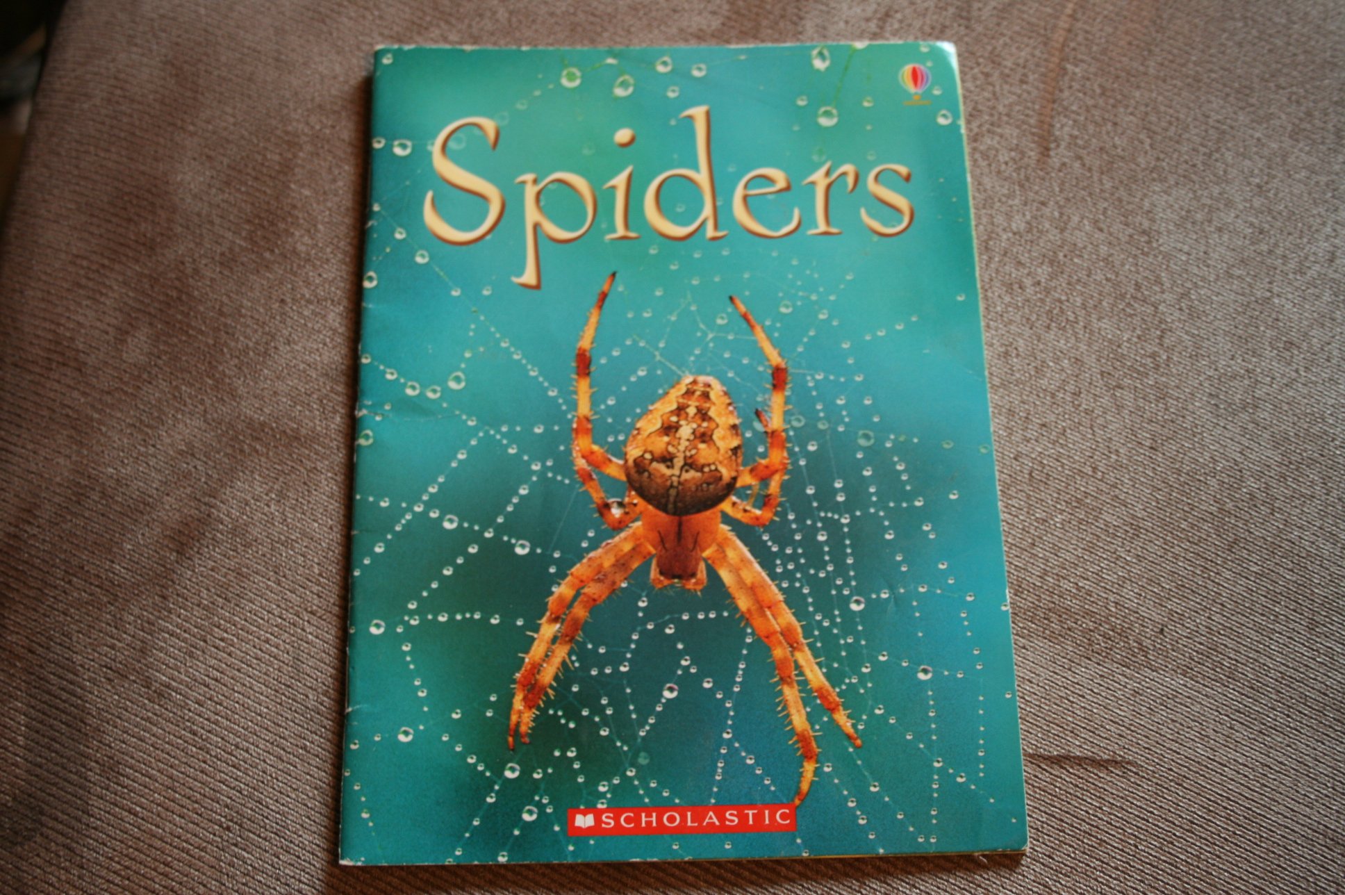 Spiders