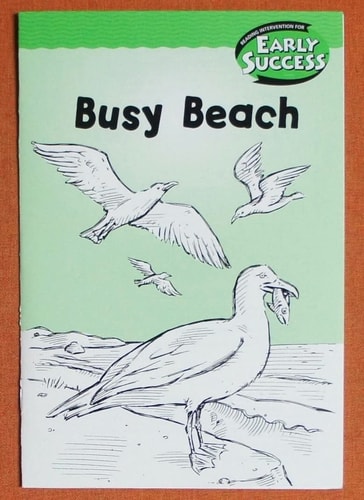 Houghton Mifflin Early Success: Busy Beach