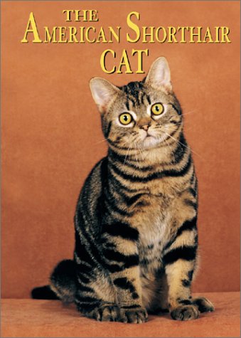 The American Shorthair Cat (Learning about Cats)