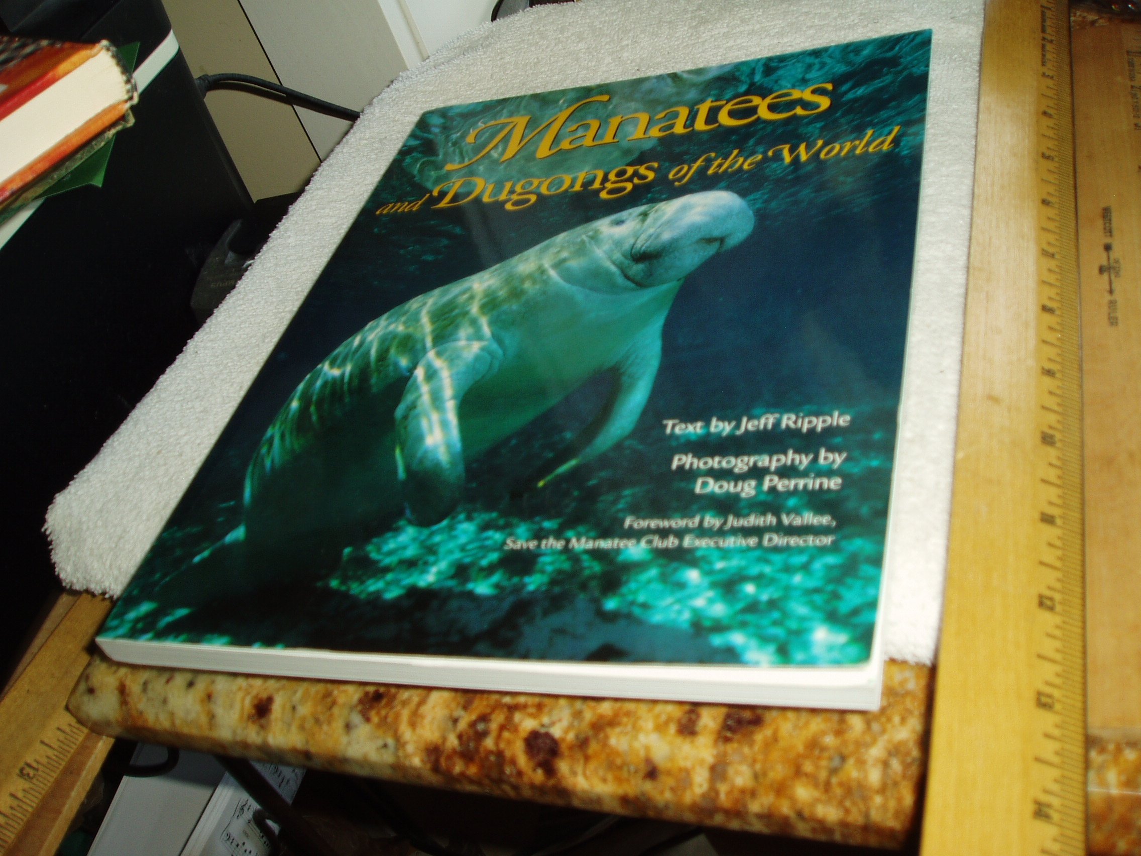 Manatees and Dugongs of the World